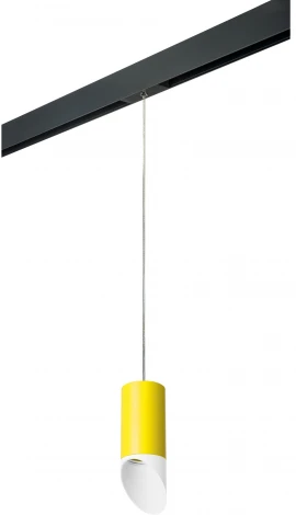 Трековый светильник однофазный 220V Lightstar Rullo PRORP43336 (круглые)