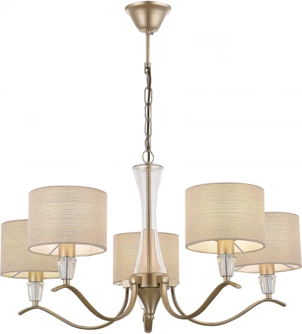 Подвесная люстра Evoluce Cassia SLE1126-203-05