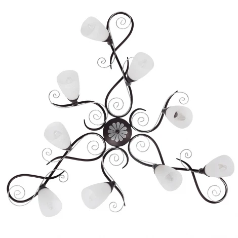 Потолочная люстра MW-Light Аида 323013209