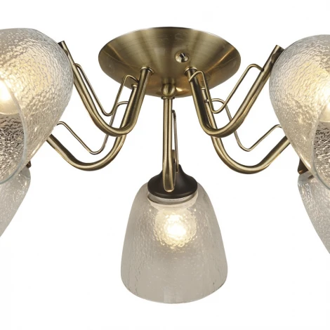 Потолочная люстра Wedo Light Rena 66609.01.37.05