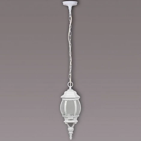 Уличный светильник подвесной Oasis Light 83405S W