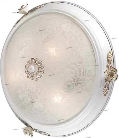 Настенно-потолочный светильник Odeon Light Bone 2692/3C