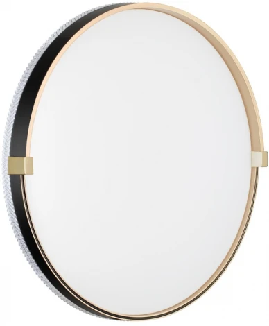 Настенно-потолочный светильник Sonex Olidi Black 7647/DL PALE SN пластик/белый/черный/золотой LED 48Вт 4000К D390 IP43 (220V, круглые)