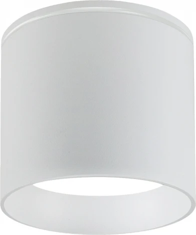 Потолочный светильник уличный Favourite Fantum 4662-1U (220V, круглые, IP54)