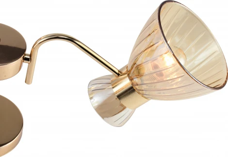 Потолочная люстра на штанге Rivoli Victoria 9183-303 3хЕ27 60 Вт