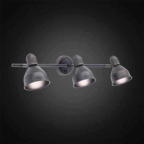 Спот на штанге Citilux Опус CL502532 (220V, выключатель, круглые)