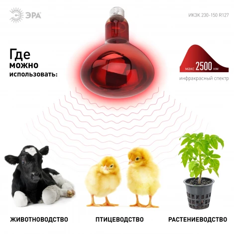 Лампочка инфракрасная E27 220 Вт ЭРА ИКЗК 230-150 R127