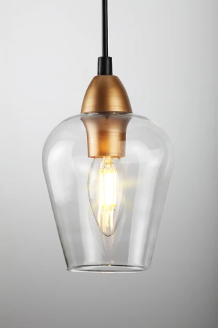 Подвесной светильник Rivoli Fresco 5045-201