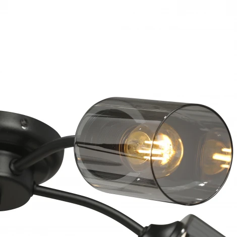 Потолочная люстра Vitaluce V2558-1/5PL