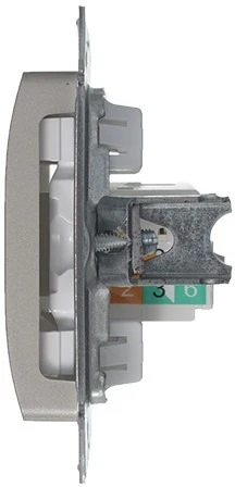 Розетка встраиваемая Ethernet RJ-45 (платина) Systeme Electric GSL001281K