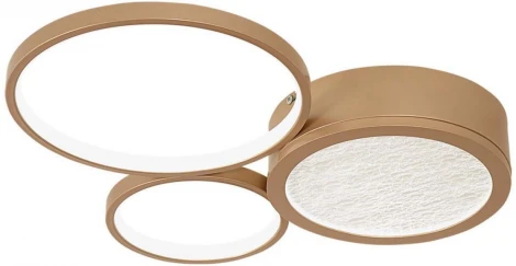 Потолочный светильник круглый F-Promo Campus 4681-3C (LED, 220V)