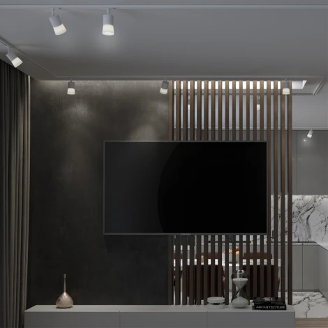 Светильник трековый однофазный двухжильный (универсальный), Elina 370903 (220V, круглые)