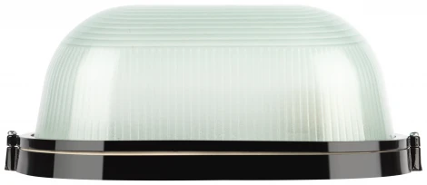 Настенно-потолочный светильник ЭРА НБП 04-100-001 в инд. упаковке НБП 04-100-001 черный