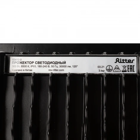 Прожектор уличный светодиодный Ritter PROFI 53413 0