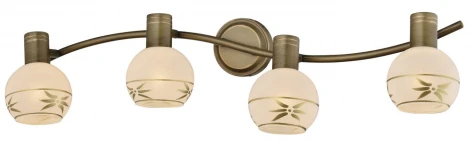 Спот Toplight Sharleen TL3790Y-04AB