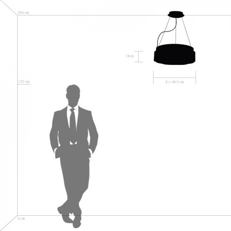 Подвесной светильник Lightstar Nibbler 812126 (220V, на тросе, цветы)