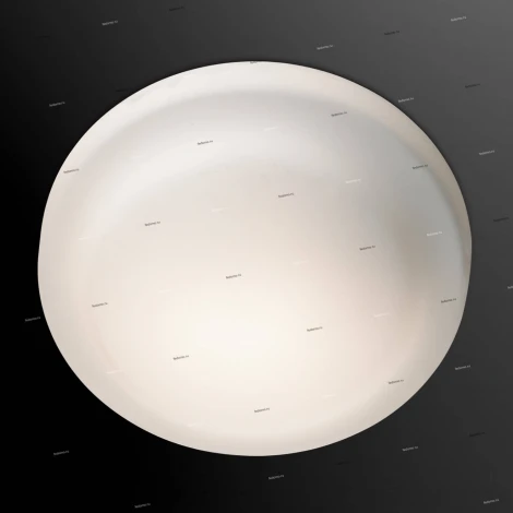 Настенно-потолочный светильник Odeon Light Tavoy 2760/1C