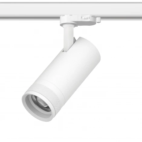 Трековый светильник трехфазный светодиодный 20W 220V 1400LM 20-55G с адаптером Lightstar Canno Pro C4206QT