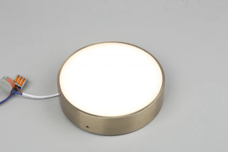 Потолочный светильник круглый Aployt Evon APL.0113.29.18 (LED, 220V, круглые)