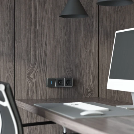 Выключатель одноклавишный с подсветкой Gallant Werkel W5010134 (черный с серебром)