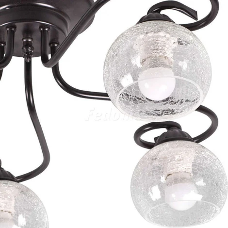 Люстра потолочная Day&Night, 5 плафонов, черный с прозрачным