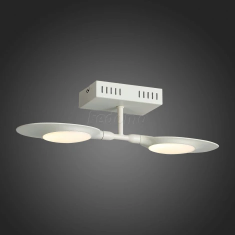 Настенно-потолочный светильник ST Luce Farfalo SL824.501.02