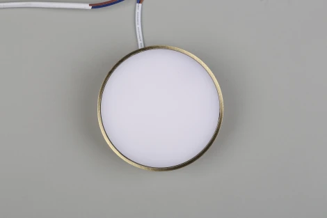 Потолочный светильник круглый Aployt Evon APL.0114.29.12 (LED, 220V, круглые)