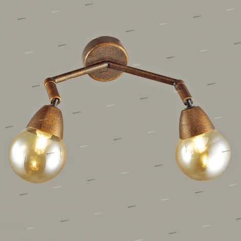 Спот Lumion Zianox 3596/2W