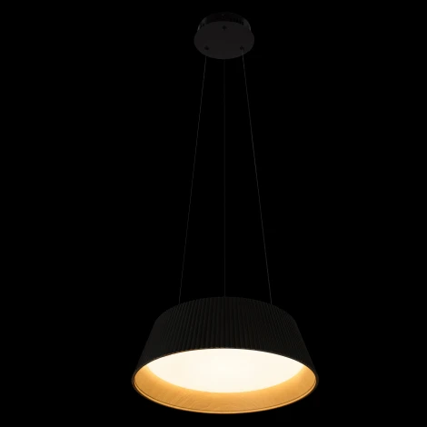 Подвесной светильник Loft It Evans 10224P Black (LED, 220V, на тросе, круглые)