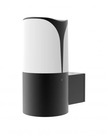 Настенный светильник уличный Maytoni Piccadilly O016WL-01B (220V, IP44)