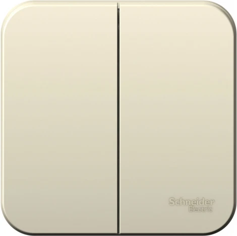 Выключатель накладной двухклавишный (молочный) Systeme Electric Blanca BLNVA065002
