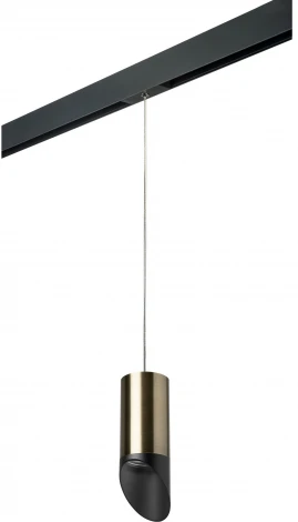 Трековый светильник однофазный 220V Lightstar Rullo PRORP43137 (круглые)