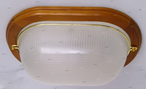 Snowlight 03-004 03-004-01DG