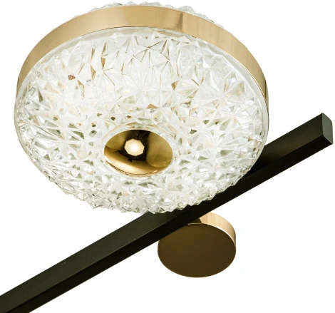 Потолочная люстра Divita 10219/6 LED*78W Black/Gold