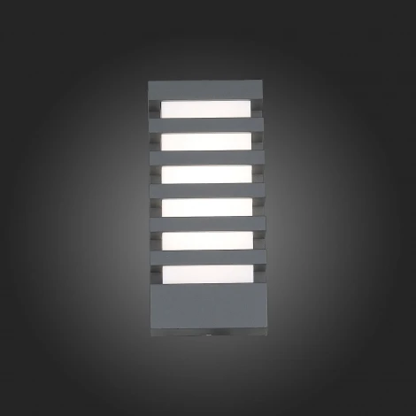 Настенный светильник уличный ST Luce Vettore SL091.711.01