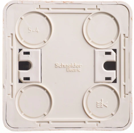 Выключатель накладной двухклавишный (сосна) Systeme Electric BA10-002D