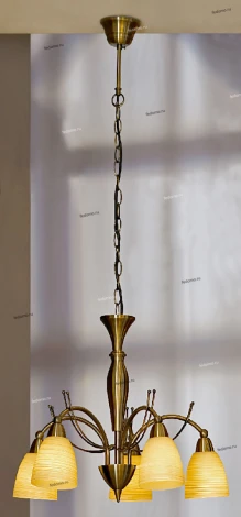 Подвесная люстра Lussole Calitri LSX-5213-05