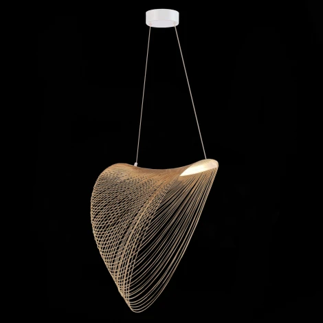 Подвесной светильник ST Luce Fossil SL6900.503.24 (LED, 220V, на тросе)