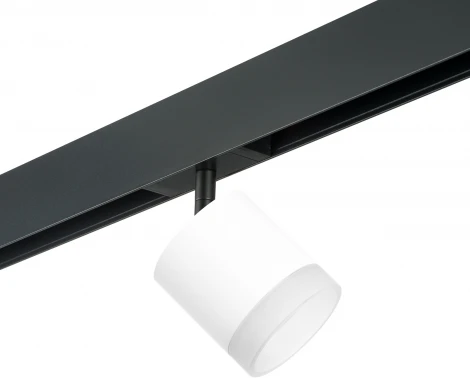 Трековый светильник Lightstar Rullo для трека PRO Rullo PRO348680 (220V)