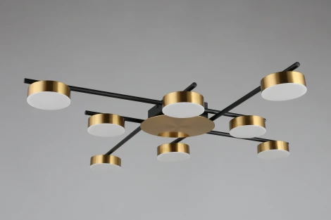 Потолочная люстра на штанге Aployt Delayn APL.042.07.56 (LED, 220V, круглые)