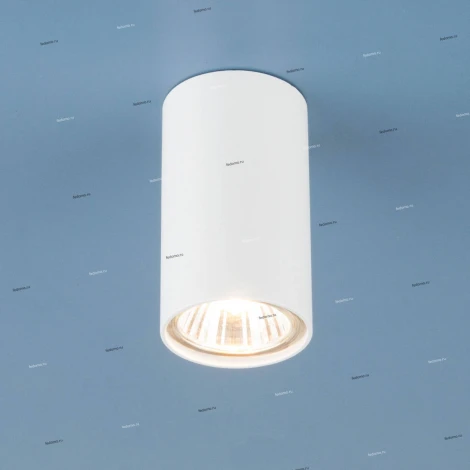 Накладной точечный светильник Nowodvorski Eye 5255 (220V)