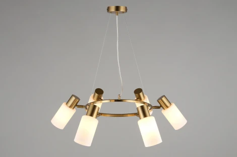 Подвесная люстра Omnilux Ales OML-69103-06 (220V, на тросе)