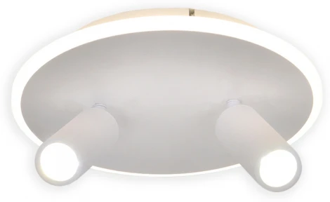 Настенно-потолочный светодиодный светильник 20046LED 20046SMA/02LED WH 28Вт, металл/акрил, белый (220V, круглые)