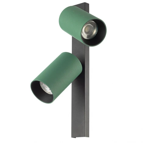 Спот настенно-потолочный зеленый Citilux Axel CL512525