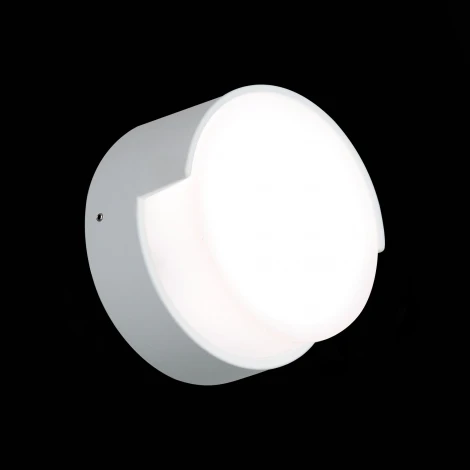 Настенный светильник уличный ST Luce Linata SL090.511.01