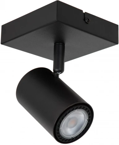 Спот Lucide Amigo 53910/01/30 (220V)