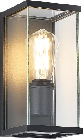 Настенный светильник уличный ST Luce Gross SL9019.701.01 темно-серый/прозрачный E27 1*15W (220V, IP54)