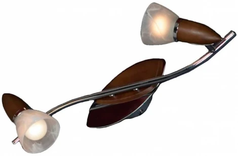 Настенный светильник Lussole Cisterino LSQ-6401-02
