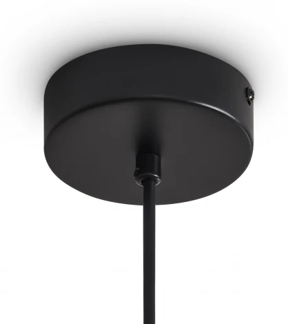 Подвесной светильник Freya Ice FR5541PL-L5B (LED, 220V, на проводе)