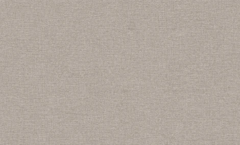 Обои виниловые Erismann Jacklin 60111-06 10,05 x 1,06 м
